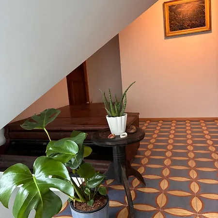 Privat bolig Airport Prague - V Dome Se Zahradou *